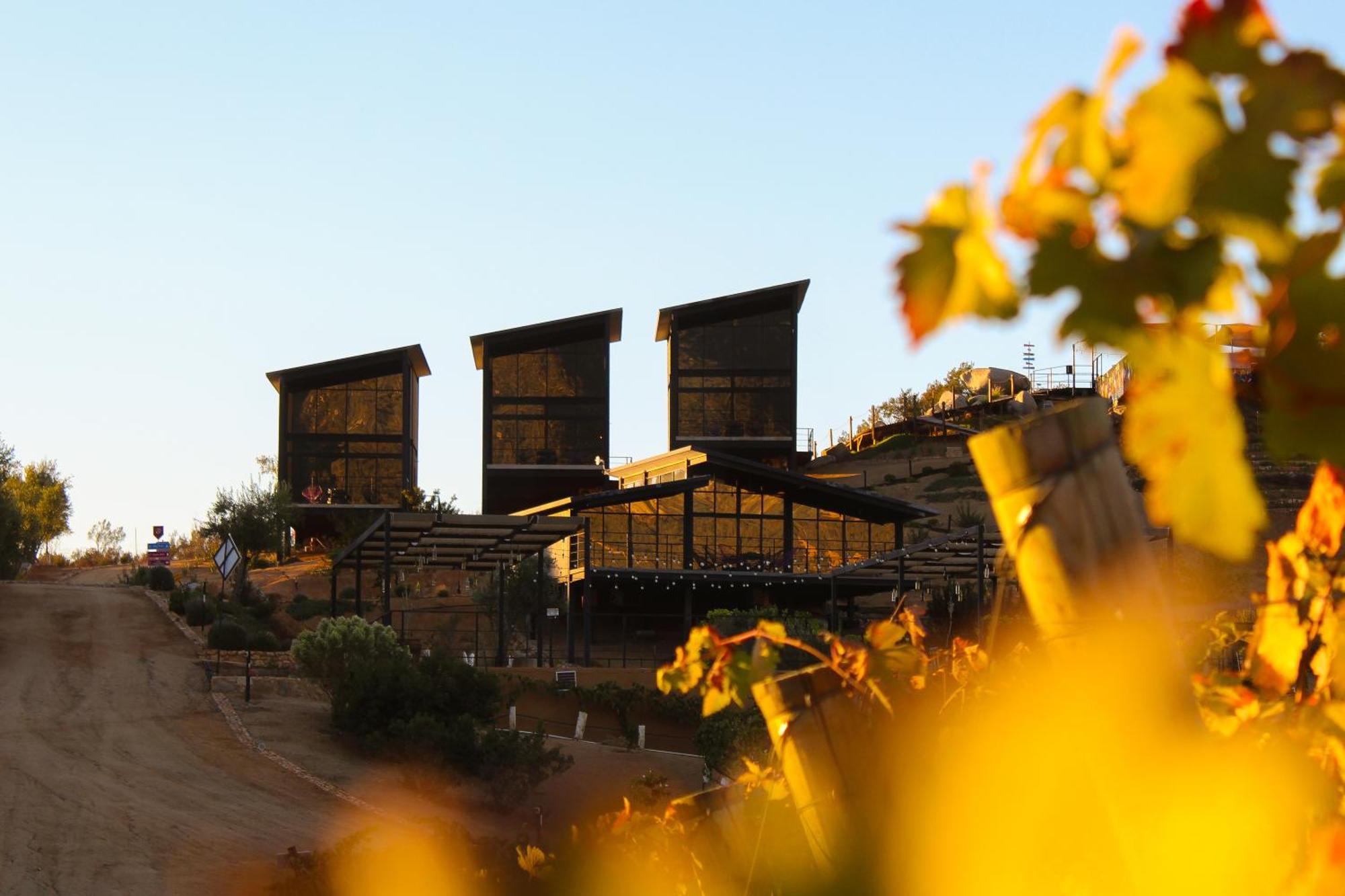 Origen75 Loft - Villas - Skypool - Vinedo, Valle De Guadalupe Exterior foto